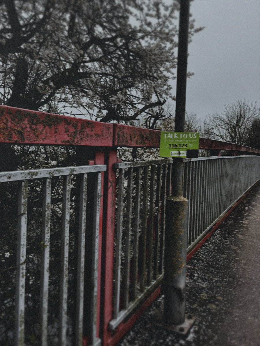 jane 🌻 tweet media