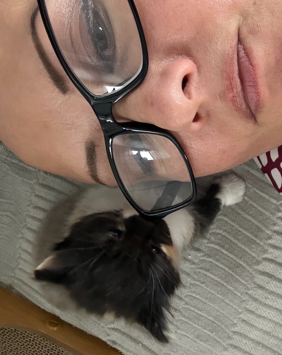 KittensCam's tweet image. Little cuddle and a little chomp on my glasses 👓 😹🐾 

#tonks #fairycatmother  #catsofX #adoptdontshop #kittenCam #kittensofX #cats #kittens #cute #bellatrix #fosteringsaveslives 🐾
