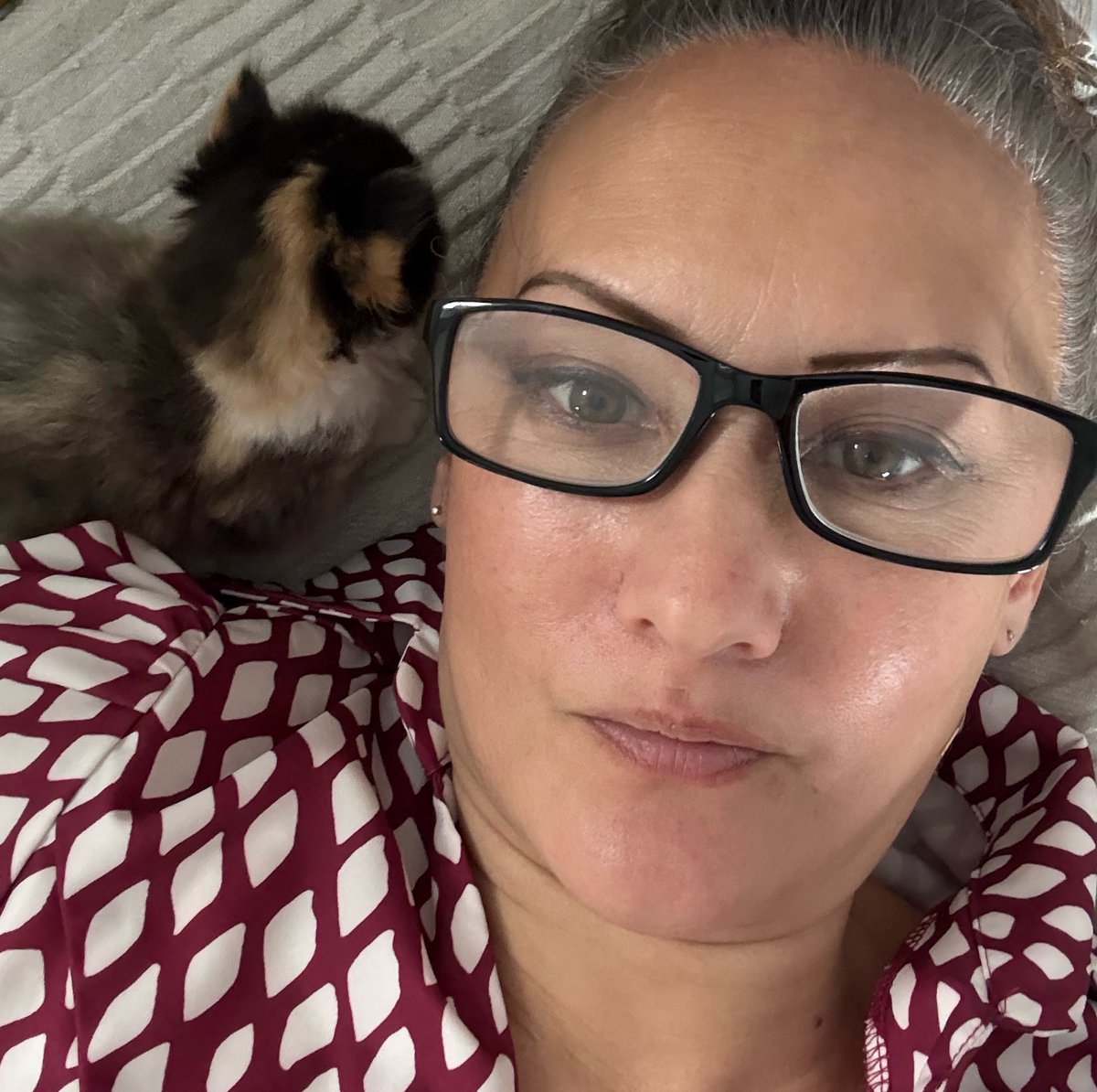 KittensCam's tweet image. Little cuddle and a little chomp on my glasses 👓 😹🐾 

#tonks #fairycatmother  #catsofX #adoptdontshop #kittenCam #kittensofX #cats #kittens #cute #bellatrix #fosteringsaveslives 🐾