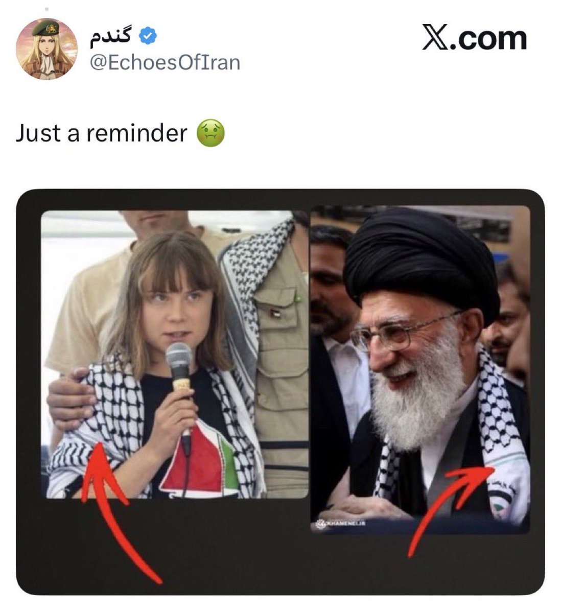 ”hitler drank water and so did you. you must be hitler!”