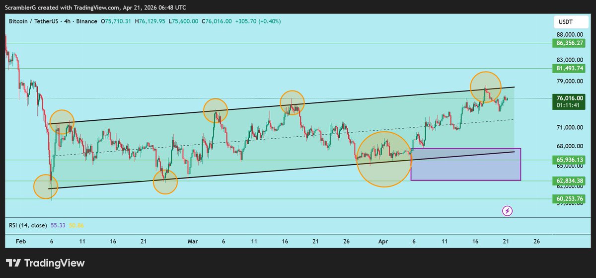 Scrambler G tweet media