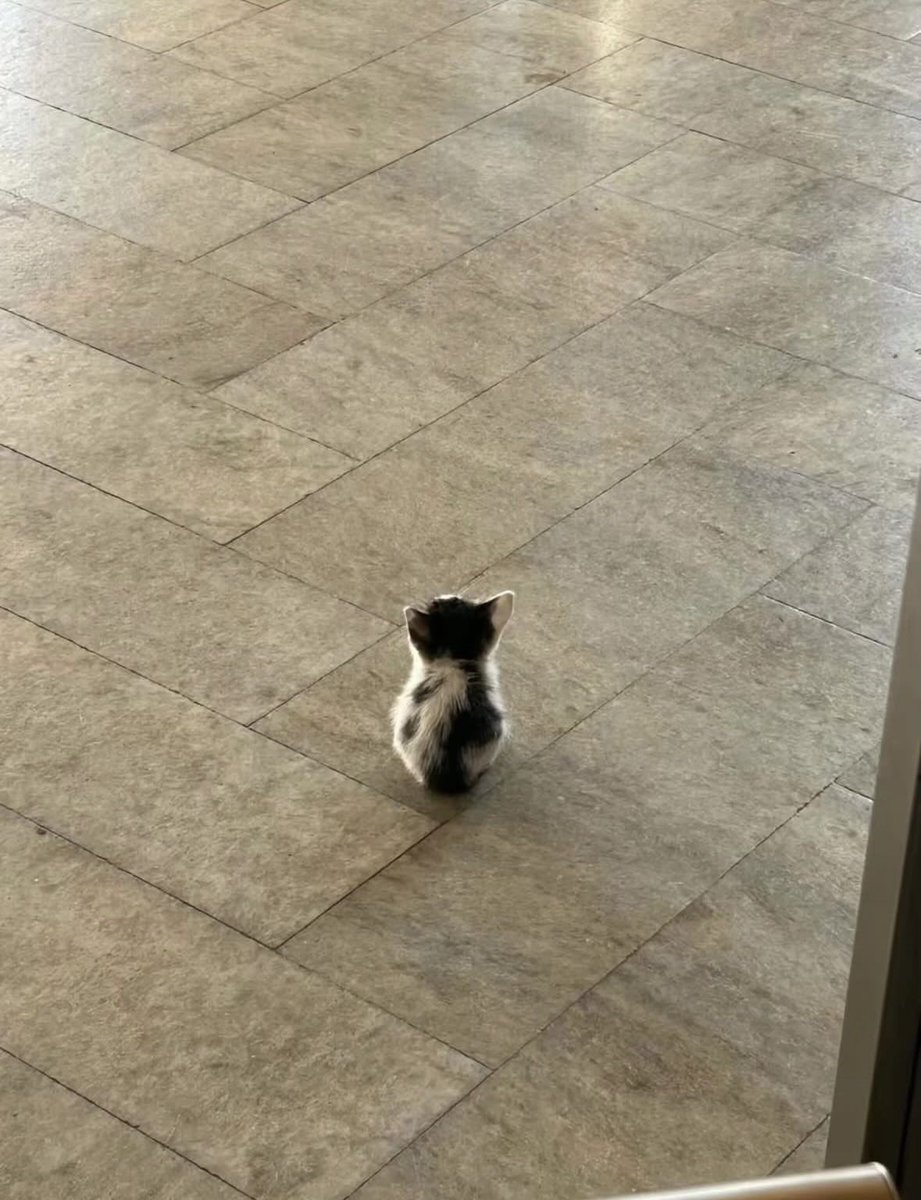 KONGSI VIRAL🇲🇾 tweet media