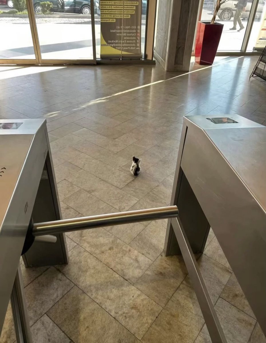 KONGSI VIRAL🇲🇾 tweet media