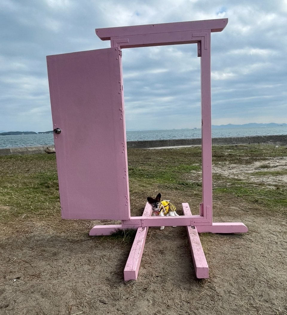 どこでもドア