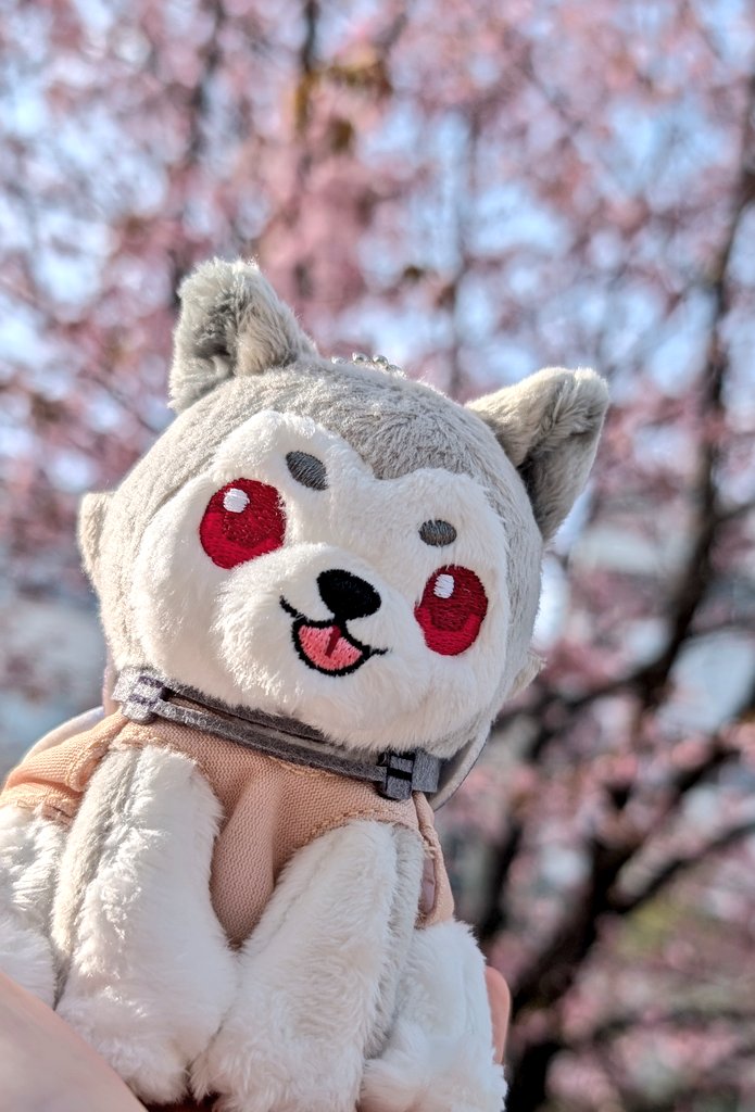 魕雄(人類) tweet media