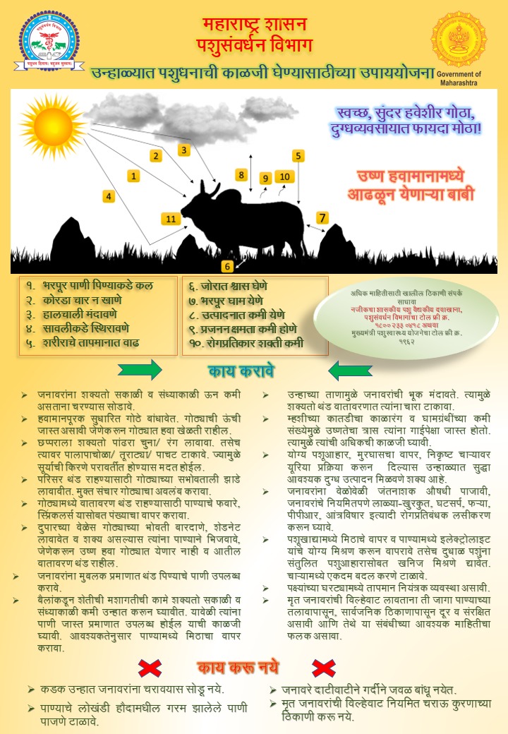 InfoDhule's tweet image. उन्हाळ्यात पशुधनाची काळजी
घेण्यासाठीच्या उपाययोजना..
@meedhulekar
#HeatwaveAlert 
#StaySafe 
#SummerTips