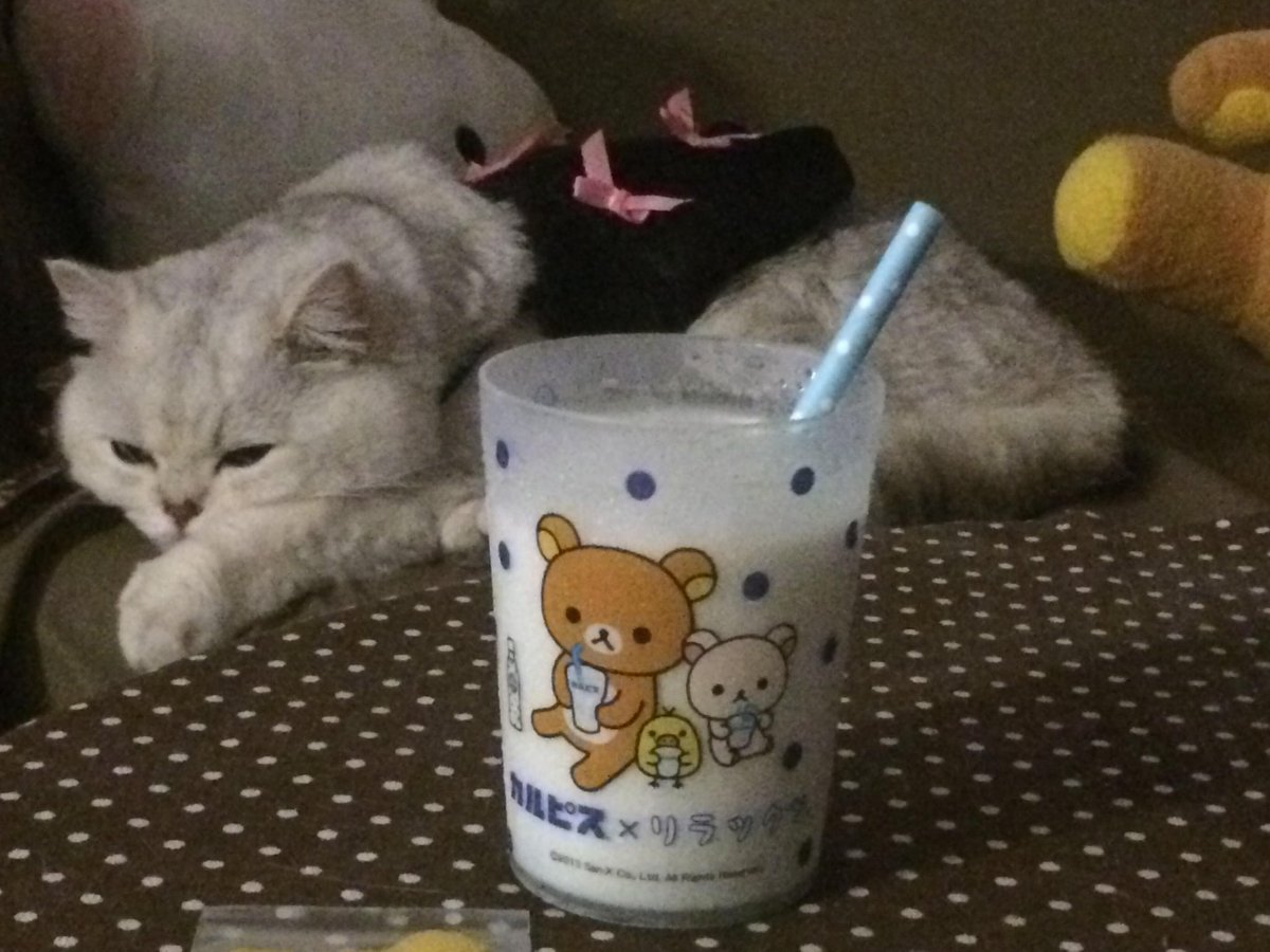 Bread case tweet media