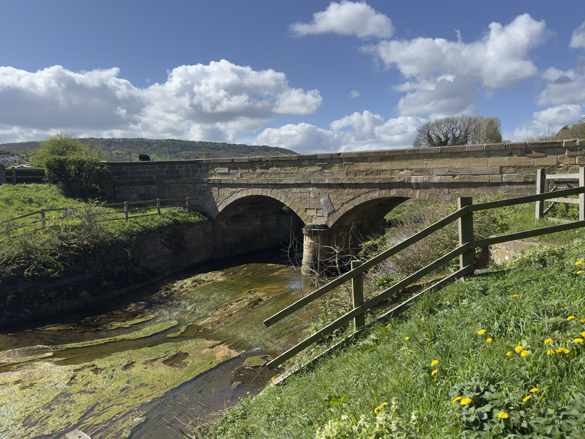 carolward5064's tweet image. Good morning from sunny Scarborough, happy Tuesday. This will be the view on my walk later today in Scalby Village🙏 Peace, quiet, birds and nature💚 
Have a wonderful day whatever your plans! 😊
#peaceandquiet 
#lovewhereyoulive