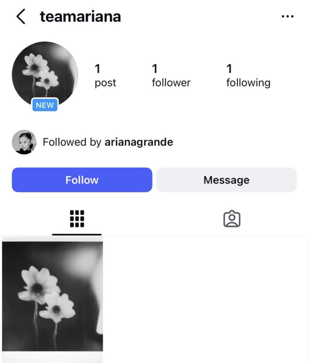 océ ꕤ tweet media