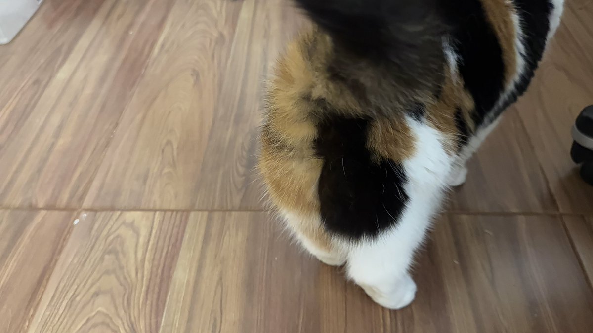 บีมกับน้องๆ tweet media