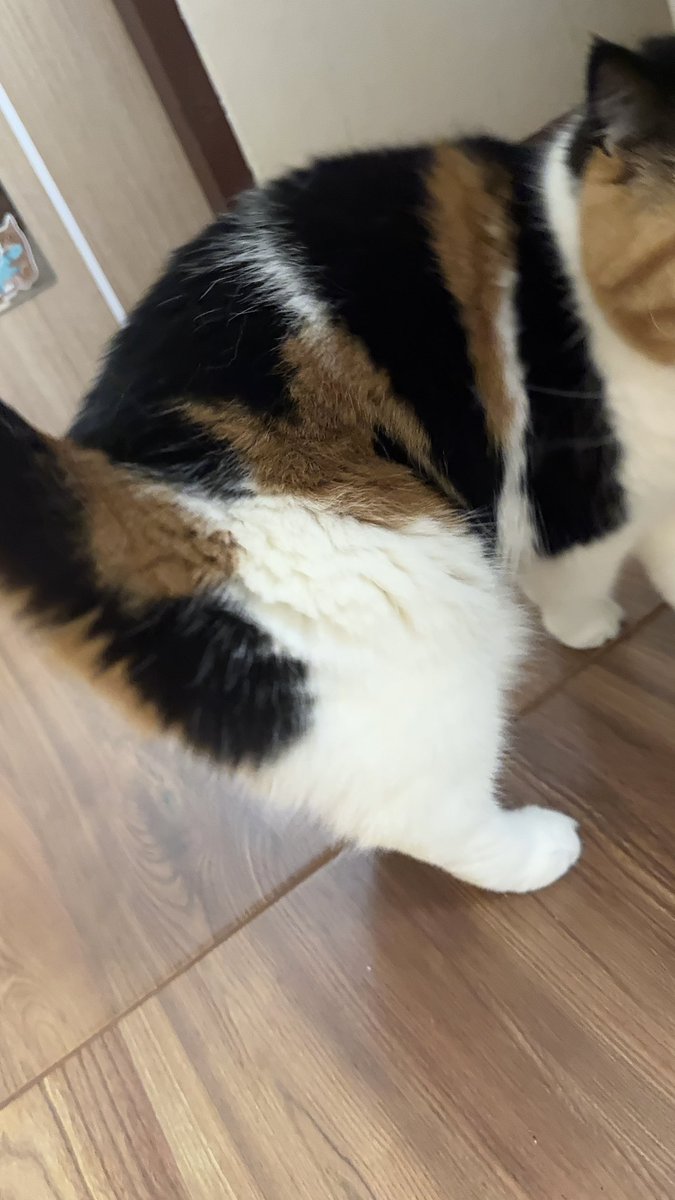 บีมกับน้องๆ tweet media