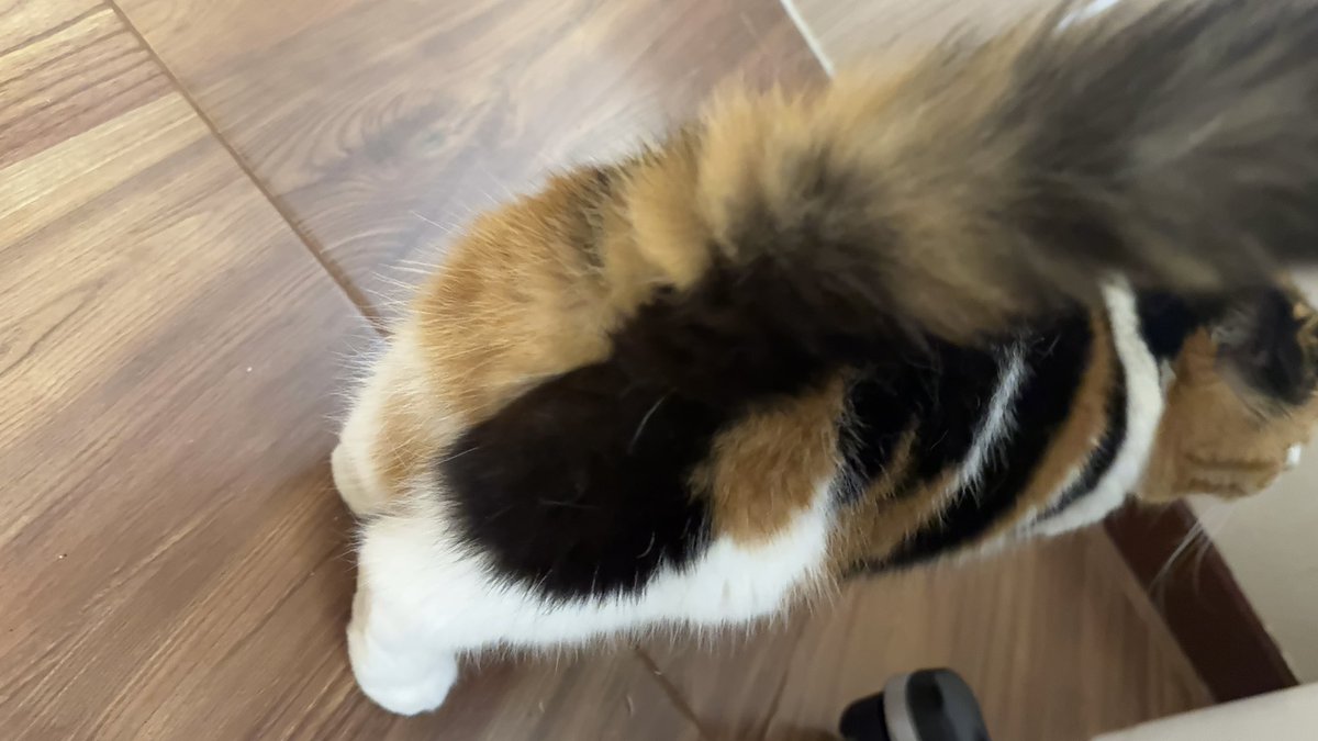 บีมกับน้องๆ tweet media