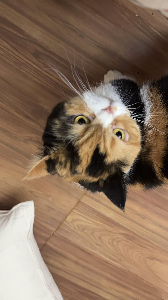 บีมกับน้องๆ tweet media