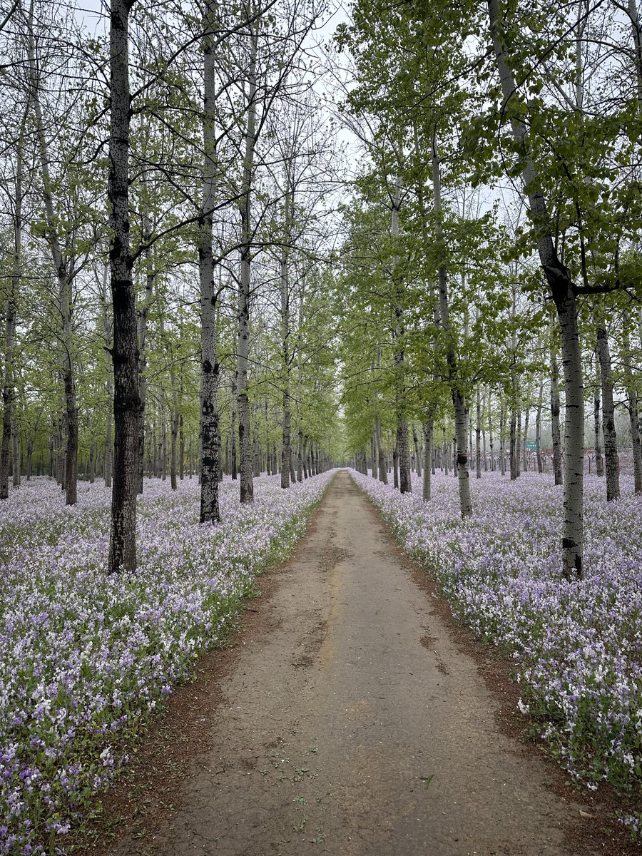 Daniel Constantine tweet media