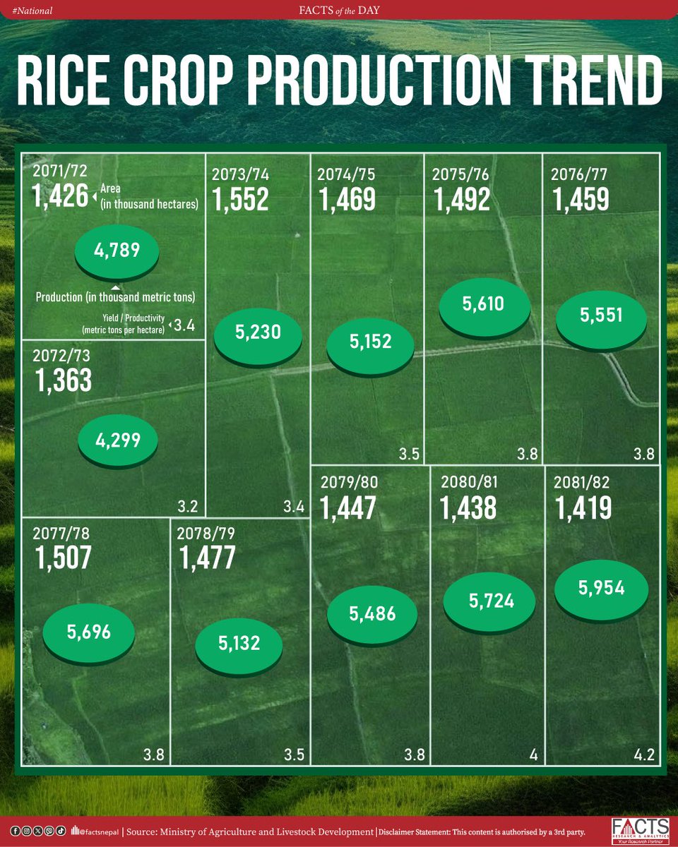 FACTSNepal's tweet photo. With an average yield of 4.2 metric tons per hectare, rice production reached 5,954,000 metric tons in FY 2081/82, utilizing a total cultivation area of 1,419,000 hectares.
#FACTSNepal #nepal #facts #factsnational #FOD #Factsoftheday #rice #RiceProduction https://t.co/nmpPoiLsJ9