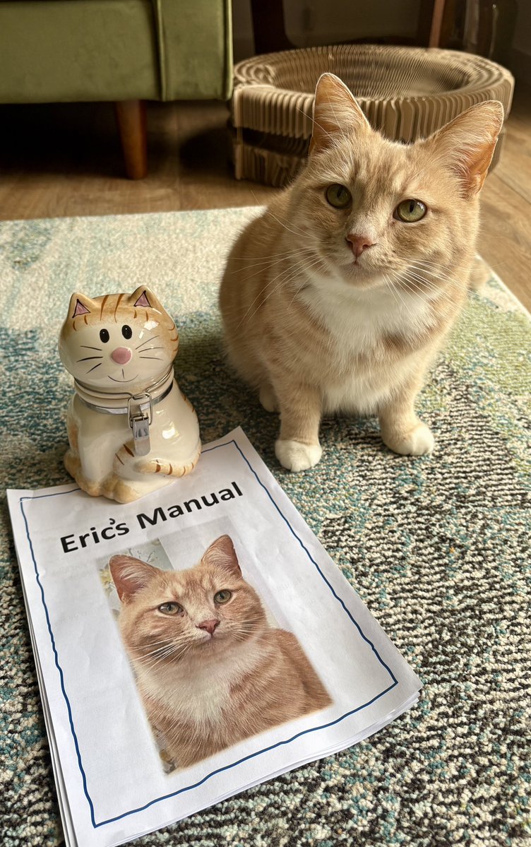 Morning pals , I’ve come across this document , this does not look good. Normally this is left with Grandma when pesky purrents go on holiday . Is there something you need to tell me mother and father ? 🙀 #adoptdontshop #rescuecat