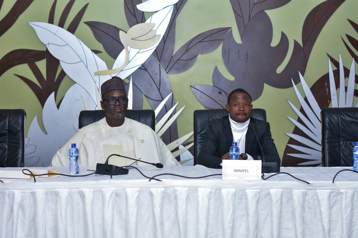 FAO en République démocratique du Congo tweet media