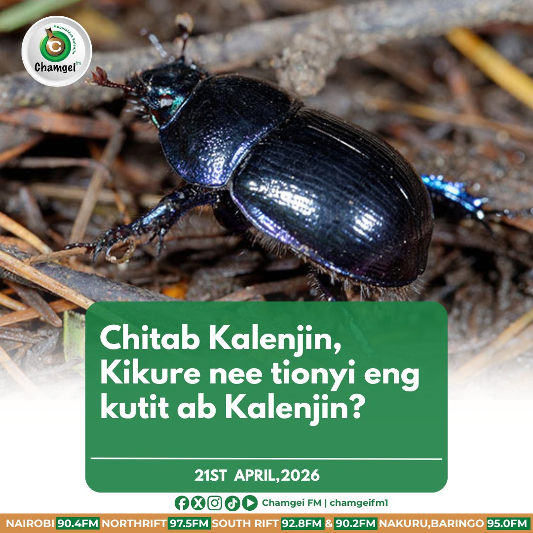 Chamgei FM tweet media