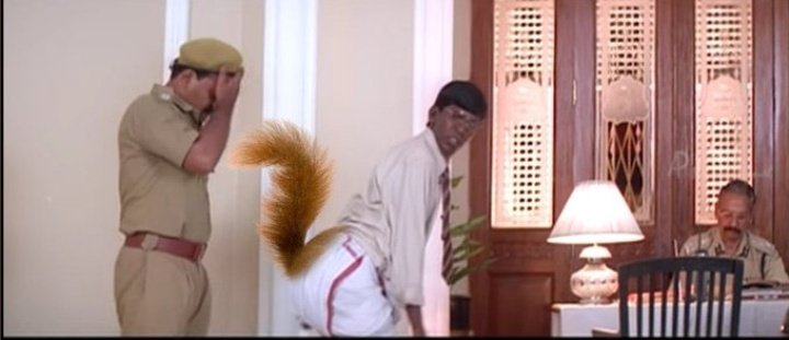 shyn_angel's tweet photo. உங்கள் ஓட்டு தற்குறிகளுக்கு இல்லைன்னு சொல்றவங்க மட்டும் RT பண்ணுங்க #TVKFailed https://t.co/eFNfoF7SBL