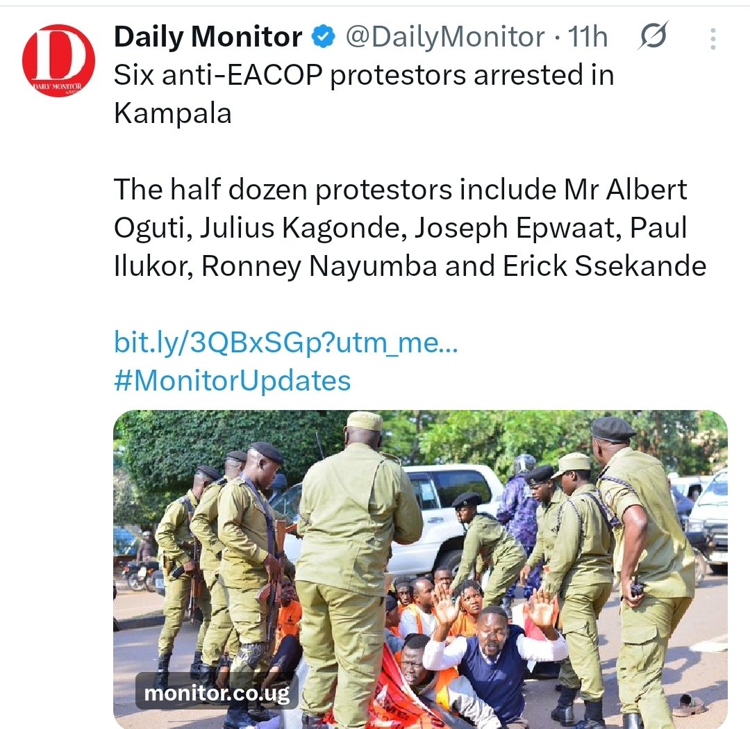 Sanya Ivan Elivis tweet media