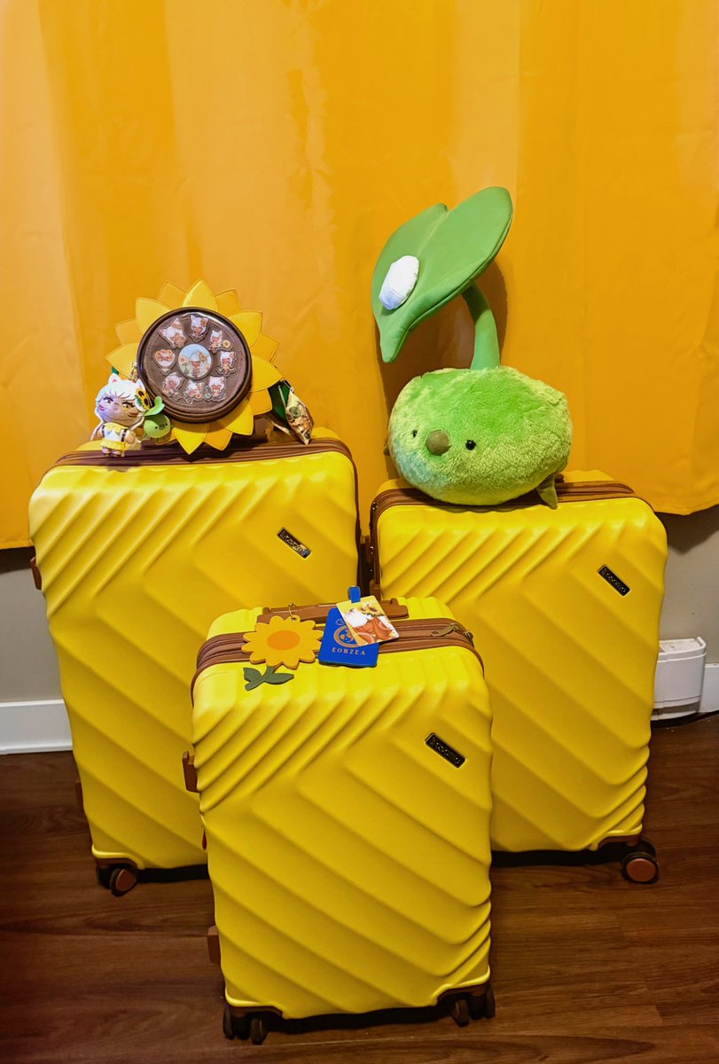 ☀️ Sol tweet media