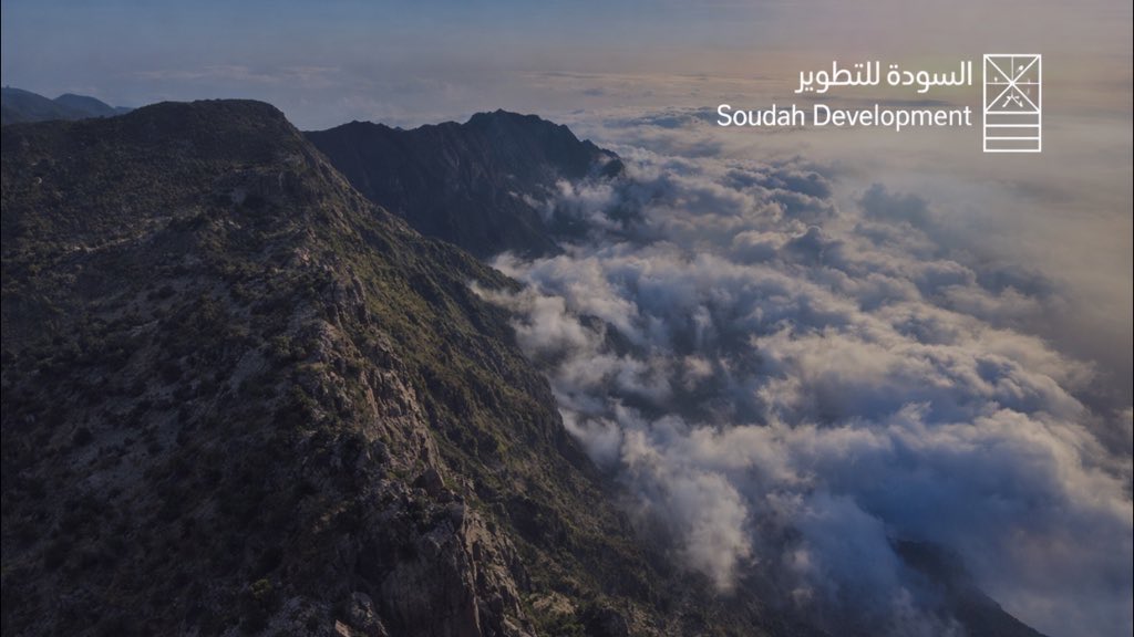 المخضرم 先生 tweet media