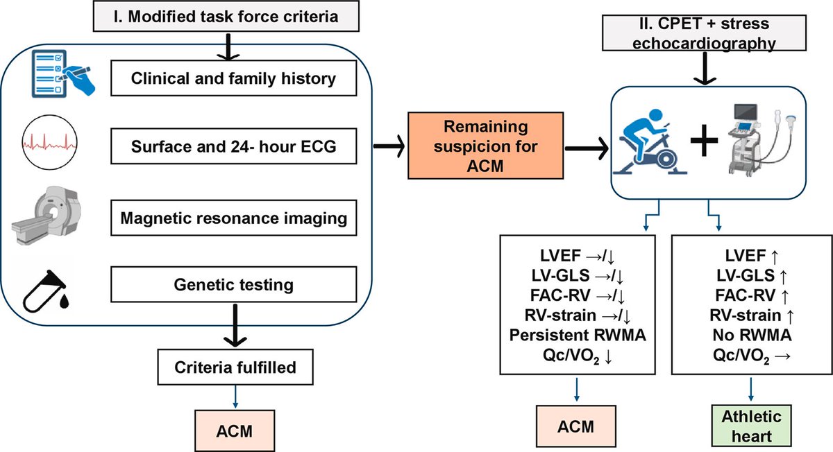 Sports_CardioNL's tweet photo. Borderline Arrhythmogenic Cardiomyopathy in an Athlete: Exercise Testing May Support Clinical Decision-Making
https://t.co/H0ewGASi3x
#Athlete #ACM #Sportscardiology #exercisetesting https://t.co/xa40MiLzON