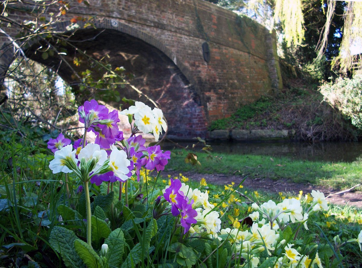retired_tom's tweet image. My photos from #April 2010

@CanalRiverTrust #GrandUnionCanal #MiltonKeynes #MK #Berkhamsted #Lock #Bridge #Narrowboat #Reflections 

#Canals &amp;amp; #Waterways can provide #Peace &amp;amp; #calm for your own #Wellbeing #Lifesbetterbywater #KeepCanalsAlive