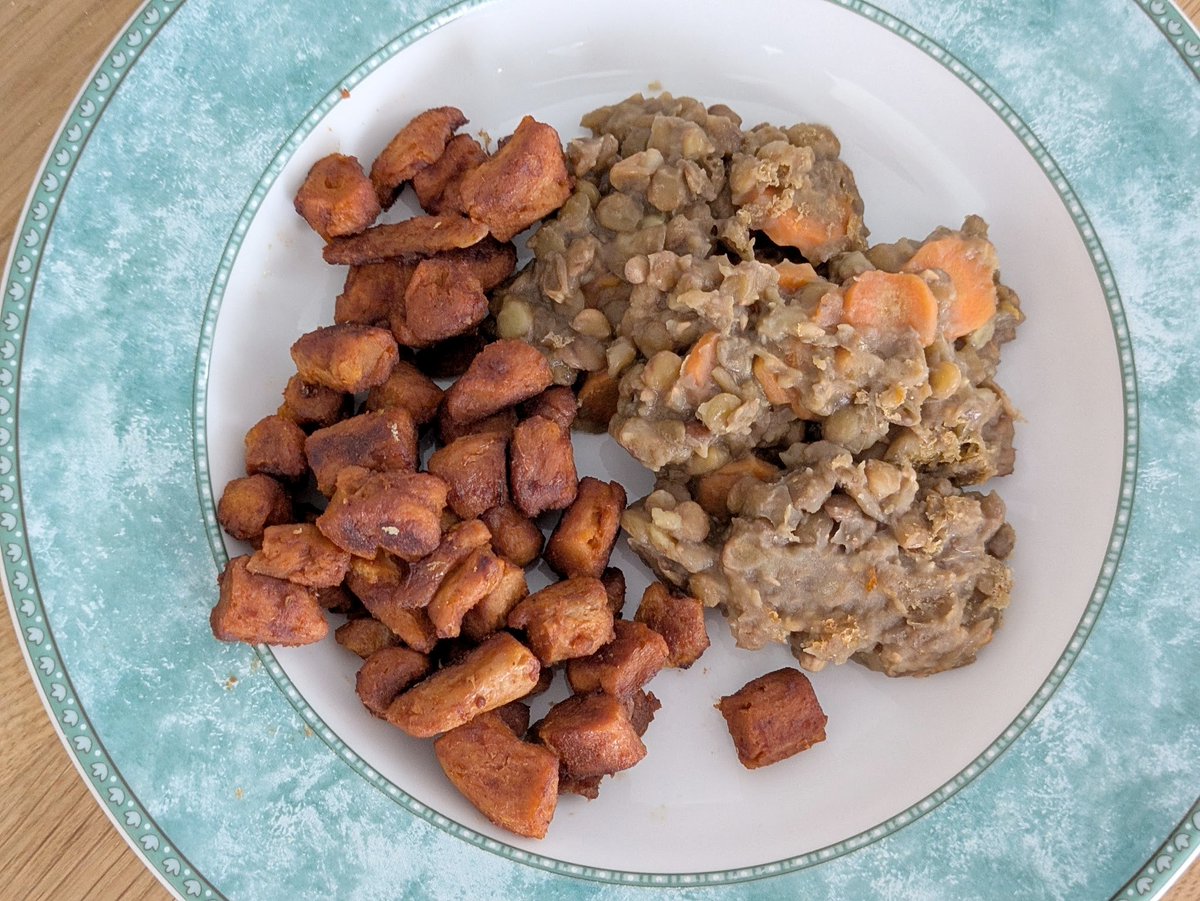 vegancoder tweet media