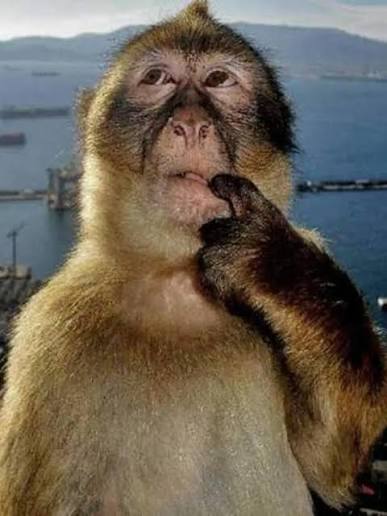 OLLY★·. tweet media