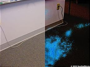 tivittermi's tweet photo. Tuğaltay cinayetinde luminol (mor ışık) uygulaması yapıldı diye biliyorum.
İnceleme yapıldıysa fotoğraf veya video ile kayıt alınmış olması gerekmiyor mu?
Çıplak gözle bile farklı notktalarda kan izleri bulunduysa, luminol sonucu neler bulundu acaba?
#çağlatuğaltay #luminol https://t.co/M8dzJ4heGo