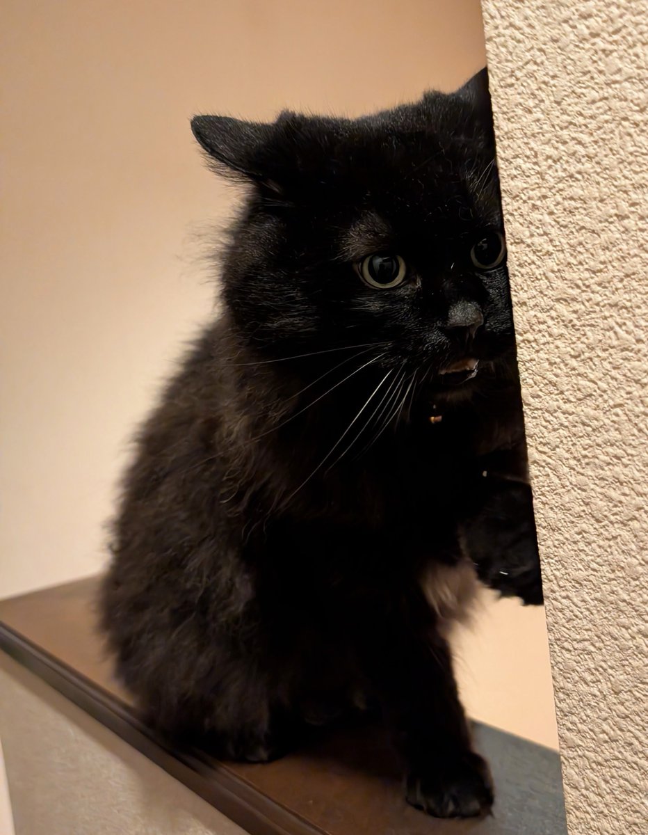 しゅば tweet media