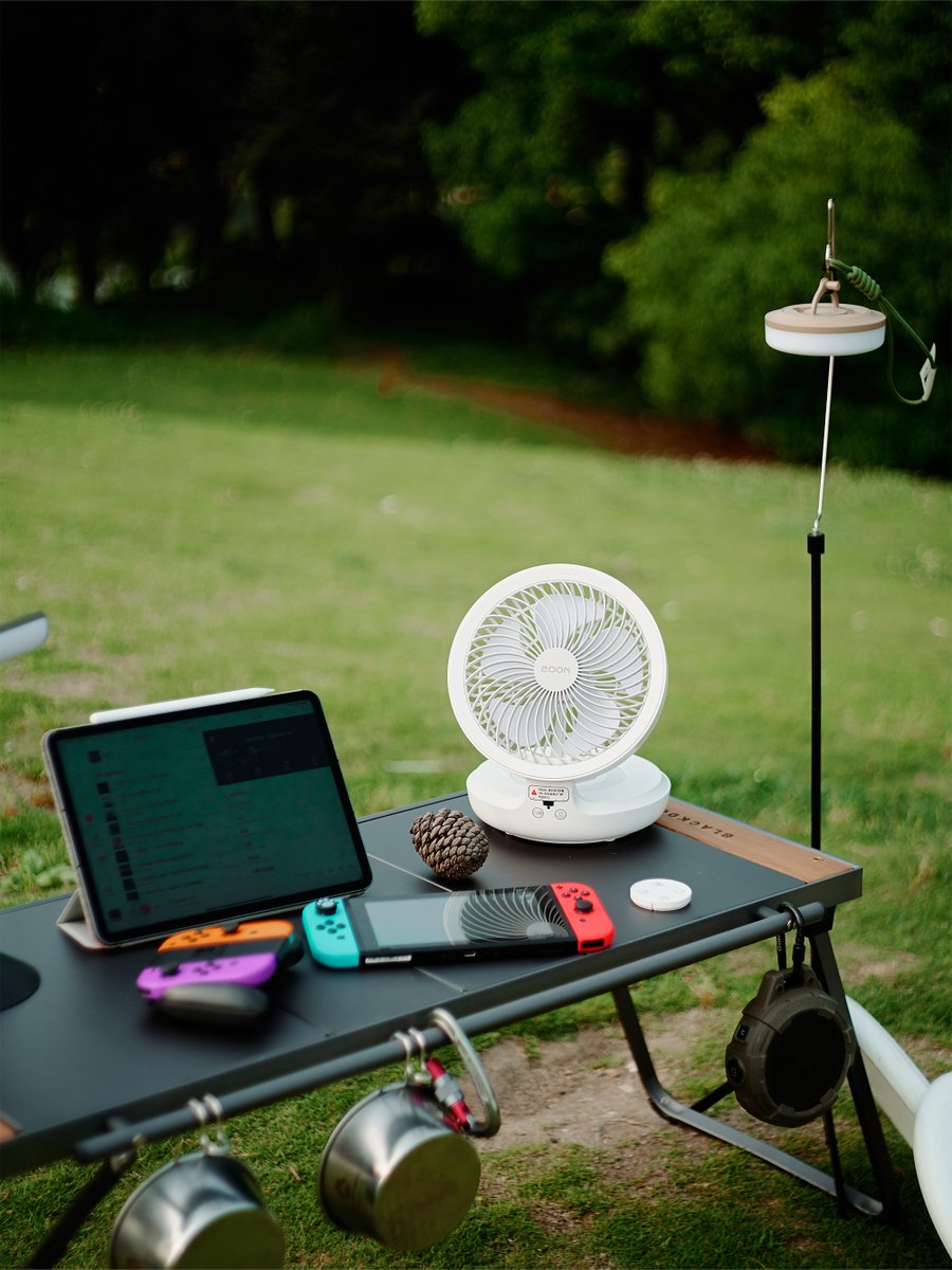 Paula Scallion-Pond tweet media