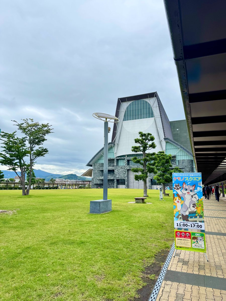 🍀静岡ケモノスクエア🍀 tweet media