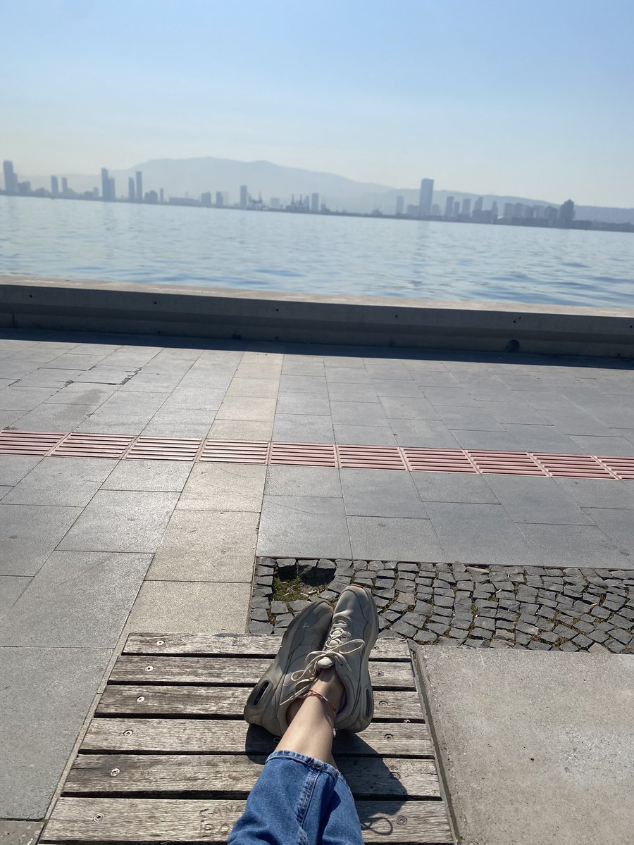 sevi evet 4 harf tweet media