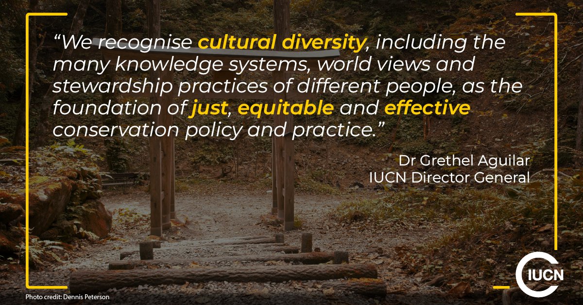 IUCN's tweet image. The UN Special Rapporteur's report on Cultural Rights in Conservation  is clear: you cannot protect biodiversity without protecting cultural diversity. 

It warns against fortress #conservation and urges States and donors to adopt a cultural rights-based approach.

#Biodiversity