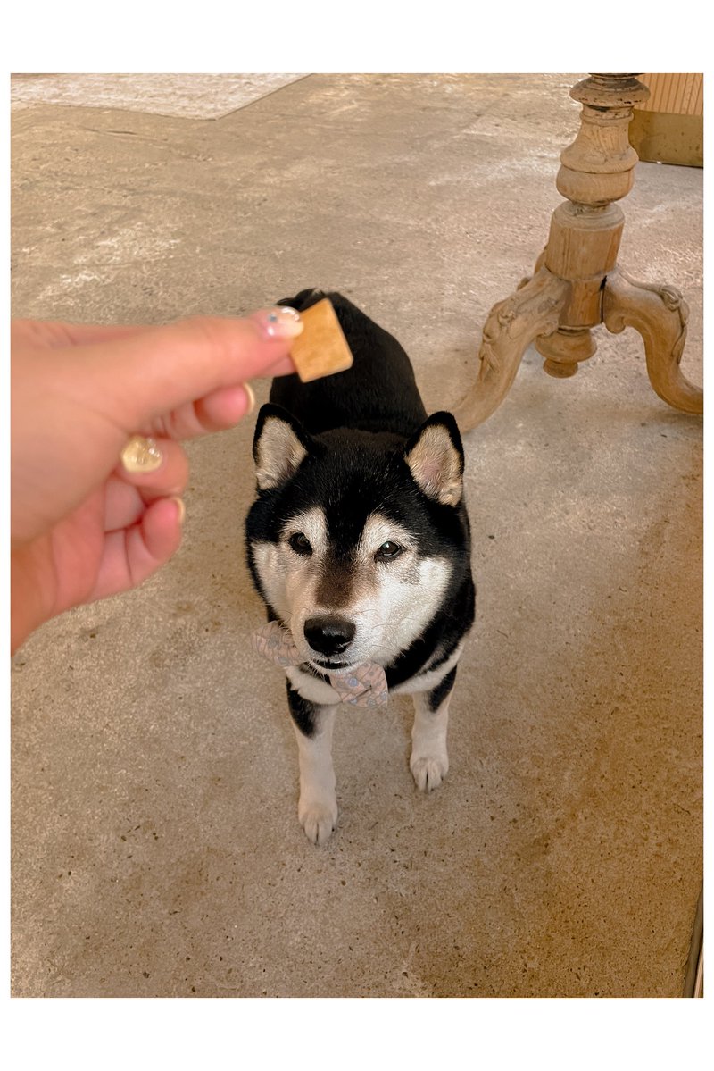 𝚝𝚜𝚞𝚔𝚞 tweet media