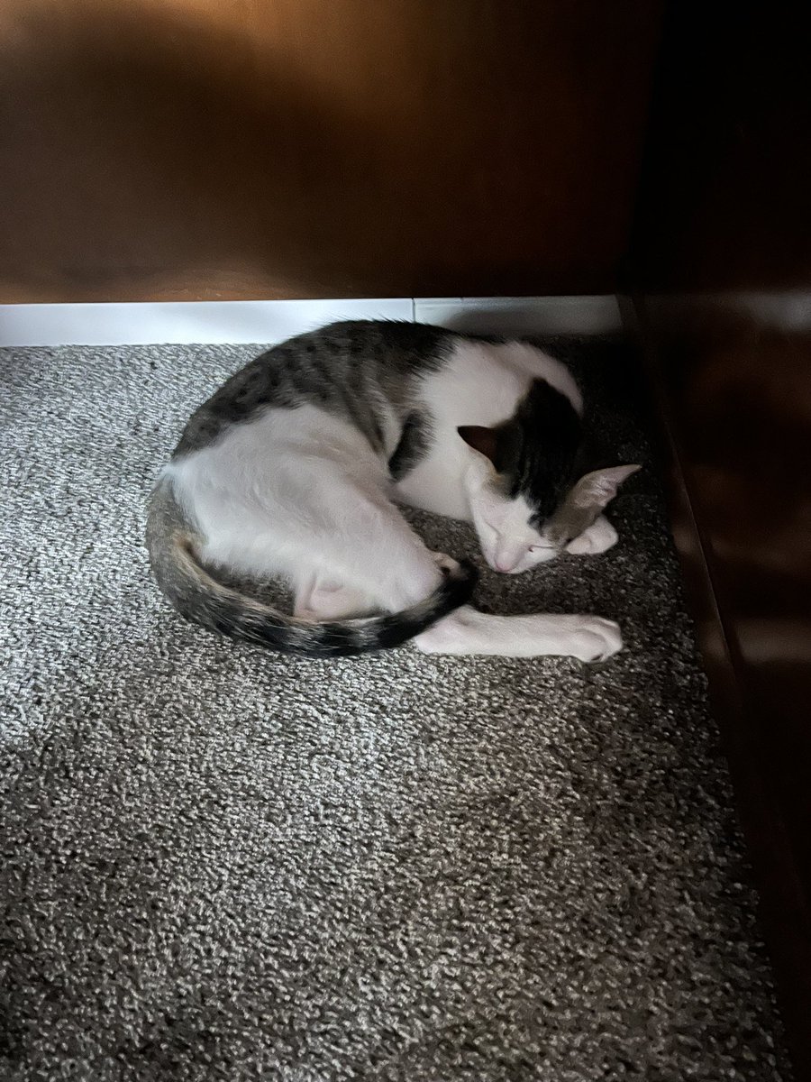 Daily Pixel 🌱 tweet media