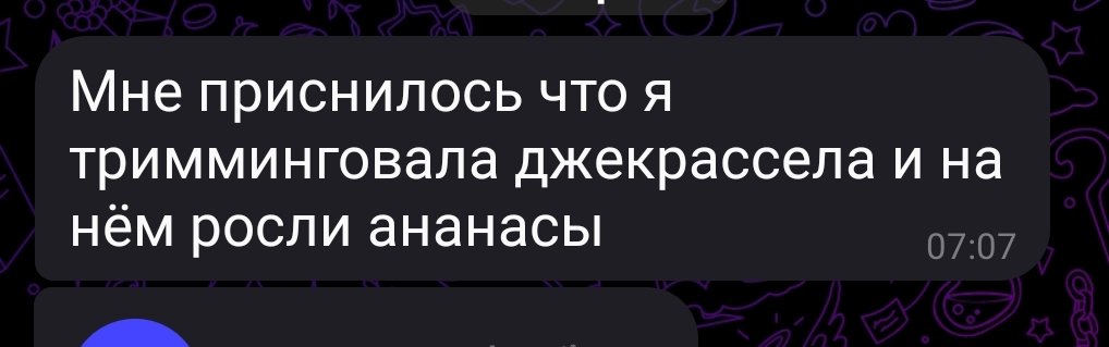 YargoElster's tweet photo. самое смешное сообщение на свете https://t.co/0P6kRU7zs7