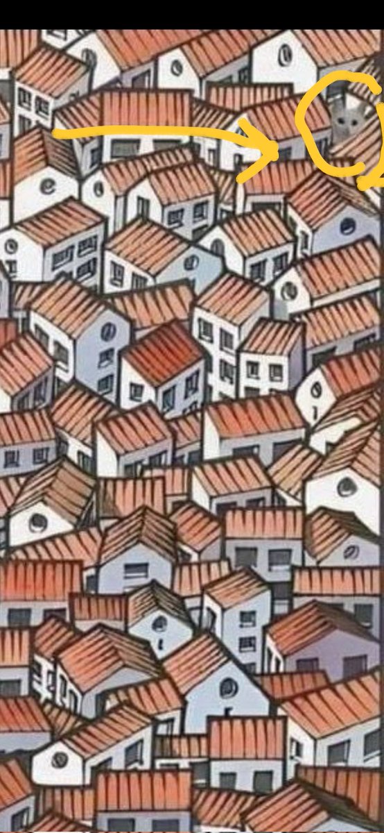 ابراهيم ابوعبدالرحمن 💙🏐💙 tweet media