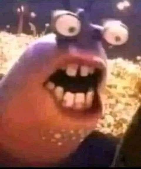 Ellobo321 tweet media