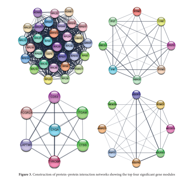 BH_ASP's tweet image. 📢 Highly Cited Article
Welcome to read "Deciphering molecular atlas of Alzheimer’s disease: A comprehensive #bioinformatic analysis of #gene expression and #protein interaction networks" 
By Kohji Fukunaga, et al.
📥 Read it here: doi.org/10.36922/bh.29…
#Alzheimer #AD #Medicine