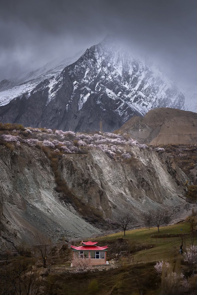 azeem_hunzai's tweet image. Heaven in the heart of Karakorum Mountain ranges known as Hunzu-Nager 🌸

#Hunza #nager #springblossom