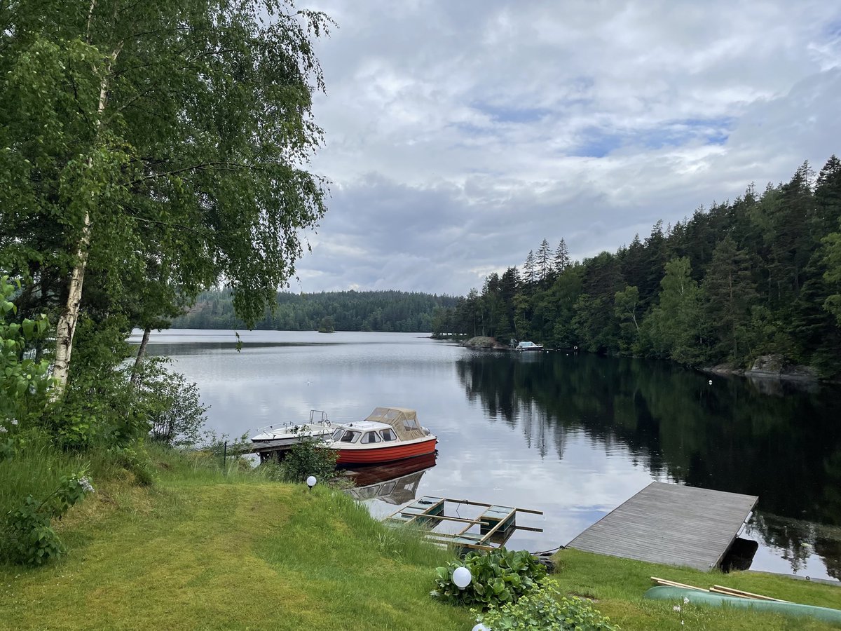 Ankur💻🎧💪 tweet media