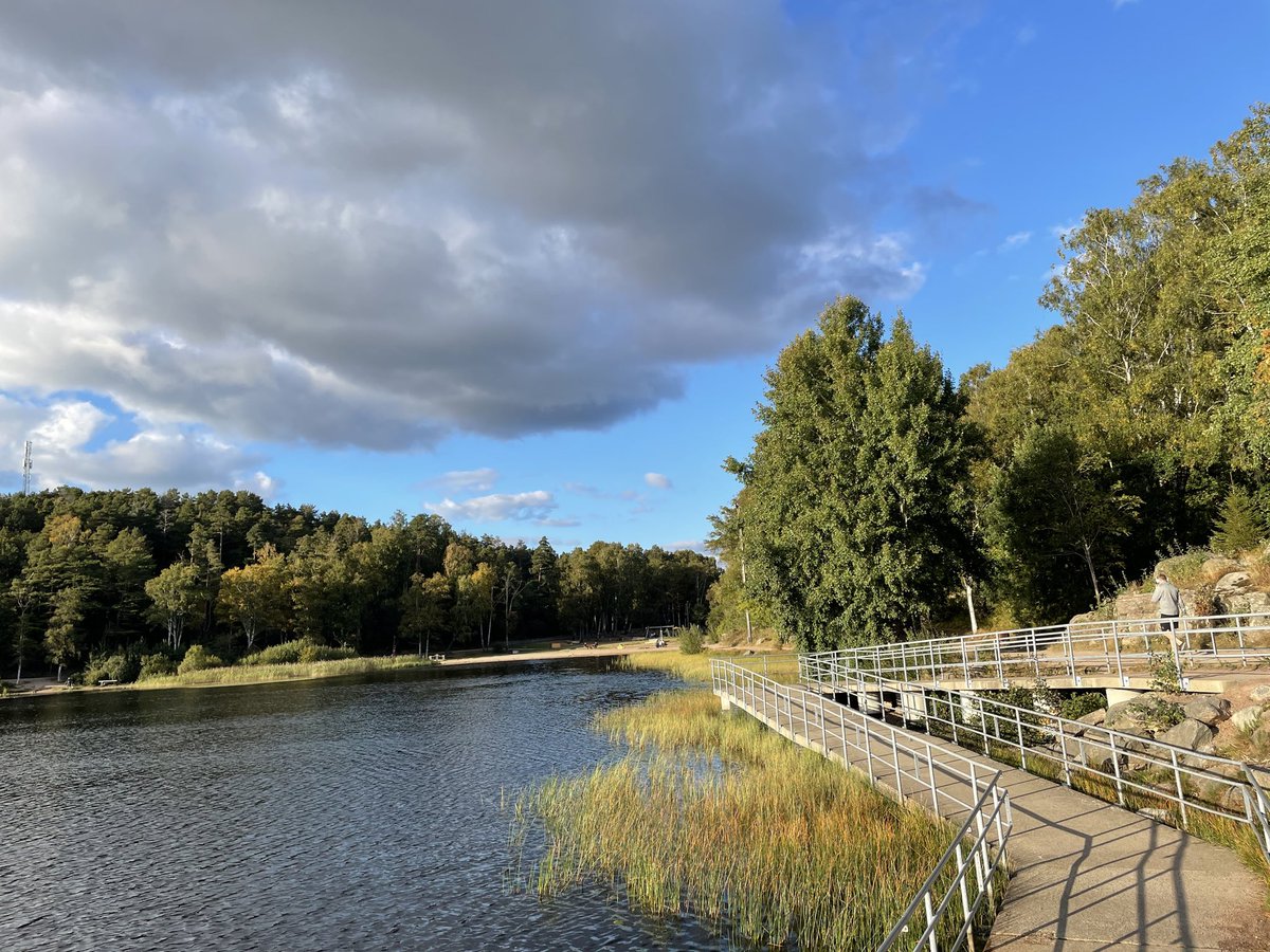 Ankur💻🎧💪 tweet media