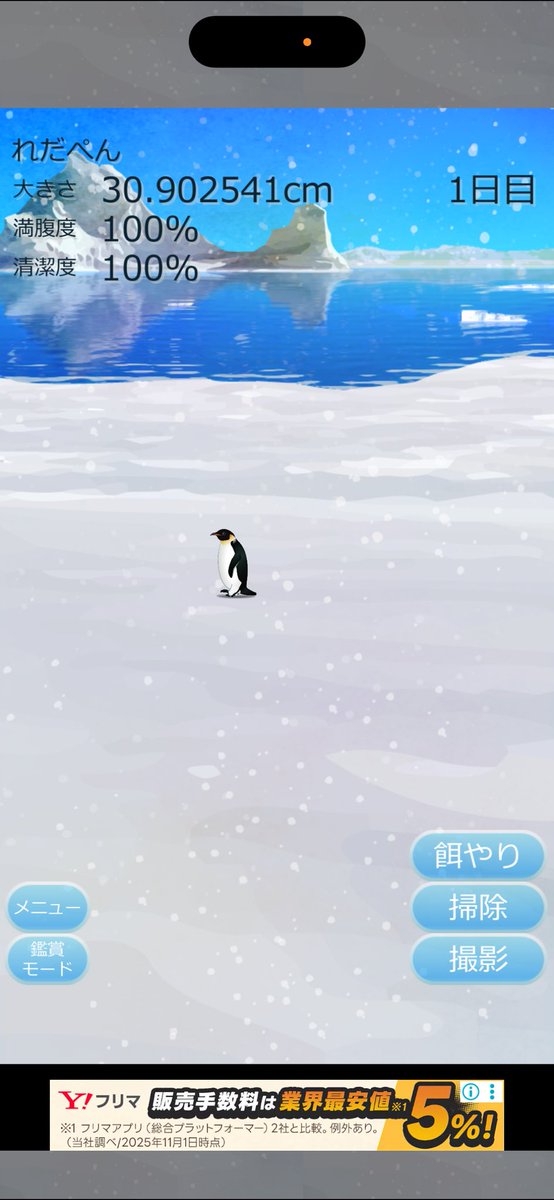 かぴぱら tweet media