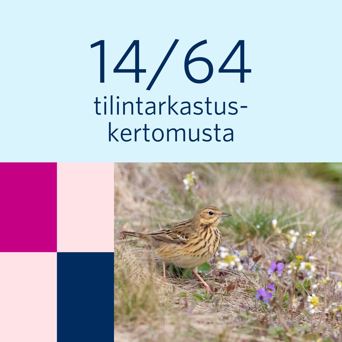 Valtiontalouden tarkastusvirasto tweet media
