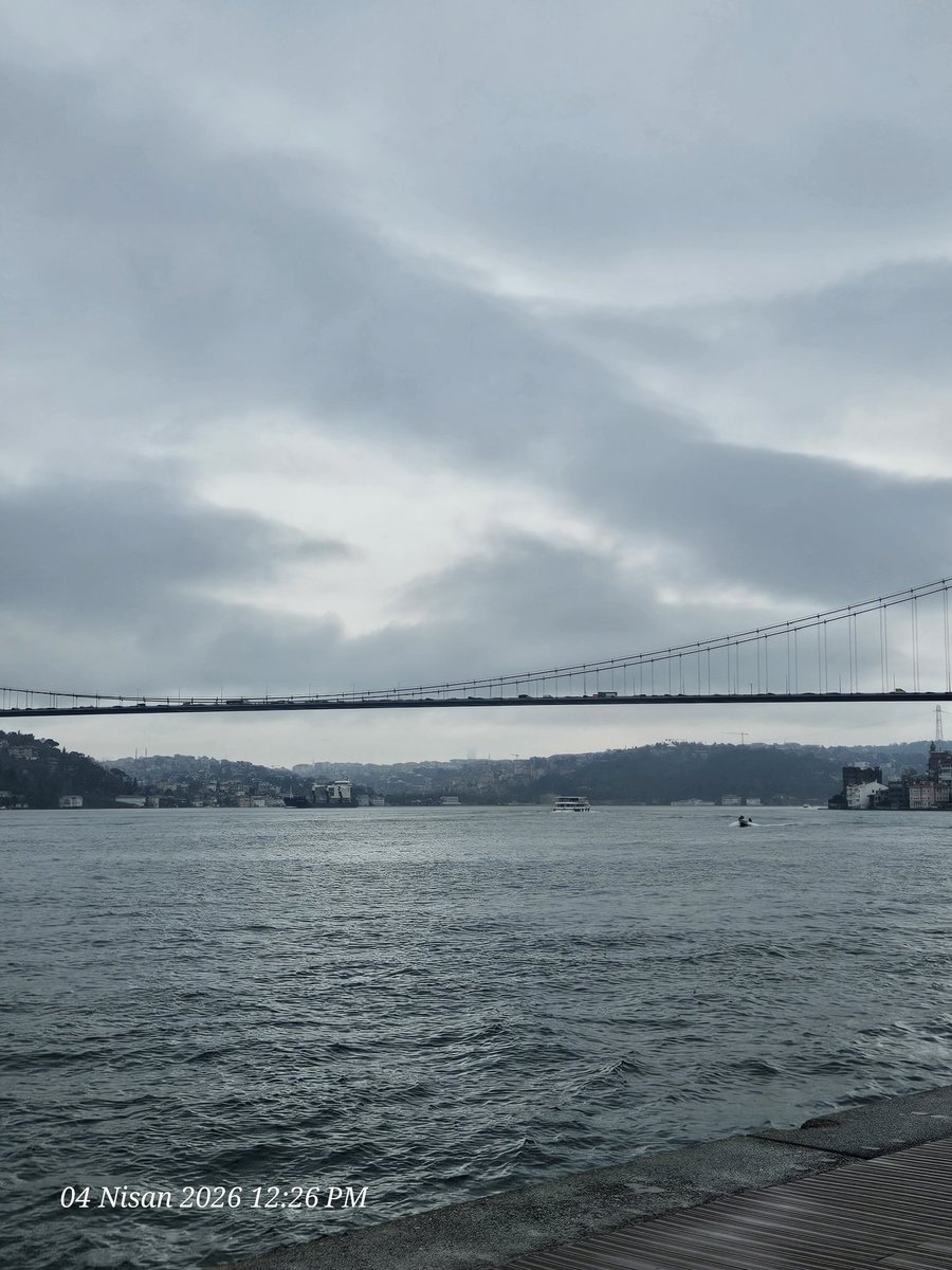 Aslı Severge. tweet media