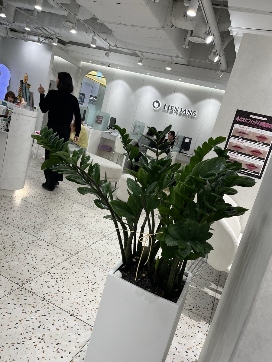 ララ☆婚活中 tweet media
