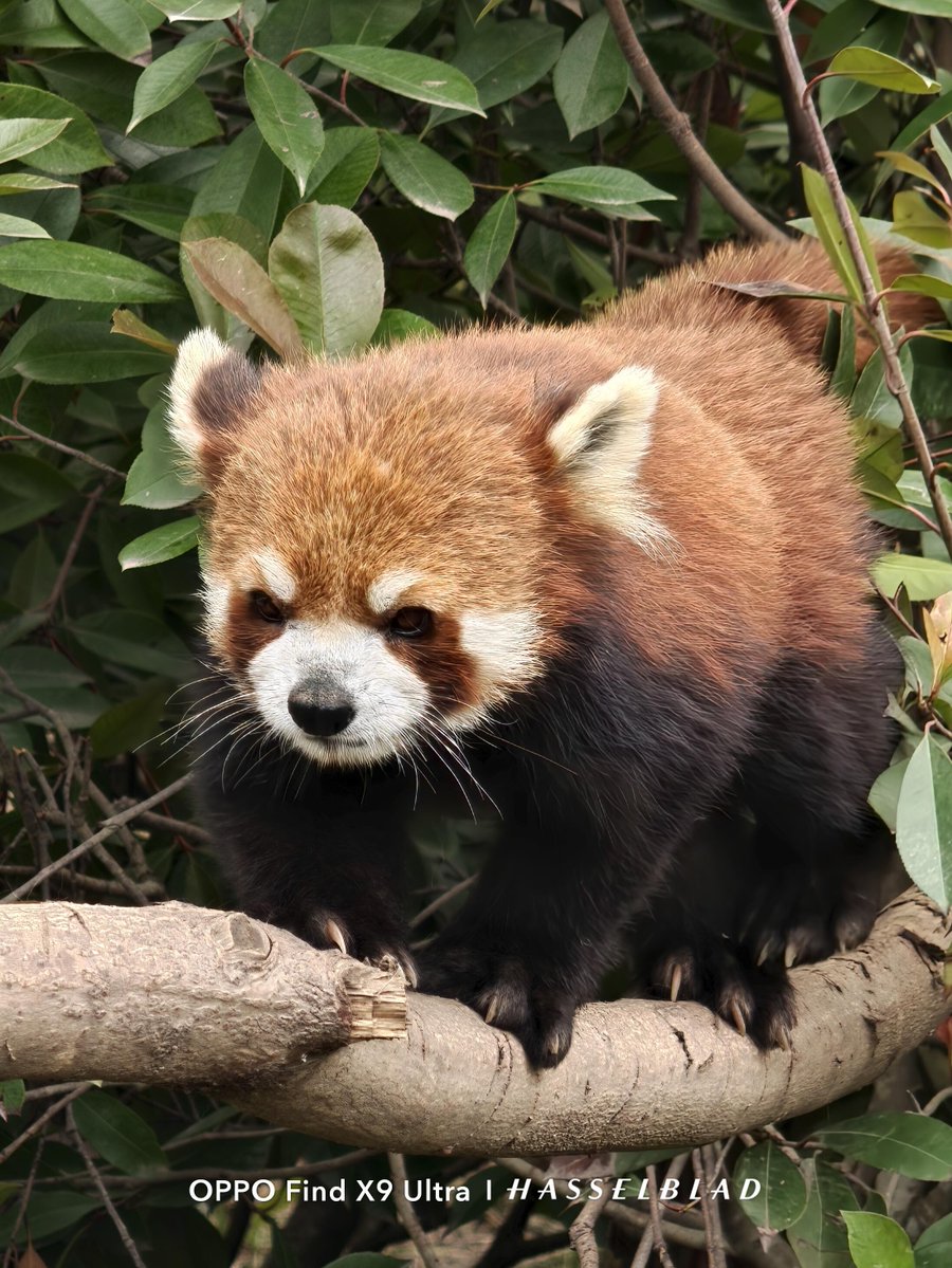 Tech Home  tweet media